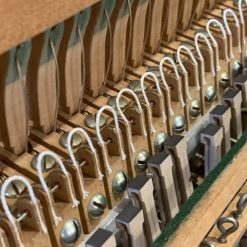 Thay dây trợ lực