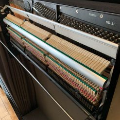 Dịch vụ trọn gói cho đàn đứng (1)