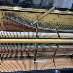 Dịch vụ trọn gói cho đàn đứng (2)