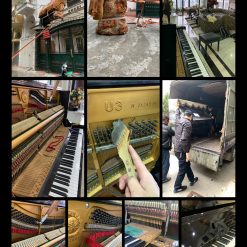 Dịch Vụ Trọn Gói