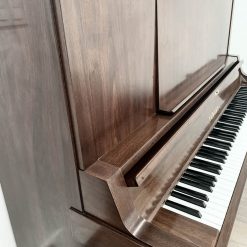 Dịch vụ chuyển đàn trọn gói (7)