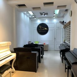 Đàn piano CASIO AP 220