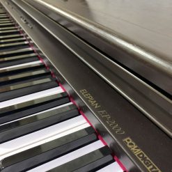 Elepian ep-2000