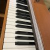 Casio PX-800