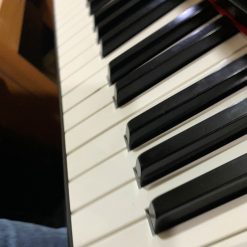 Piano điện Elepian