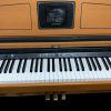 Roland Hpi-6