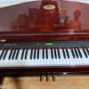 kawai CA1000GP