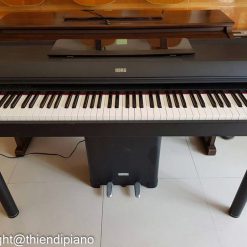 Đàn piano KORG C40