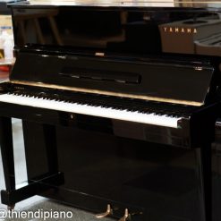 Yamaha U1D