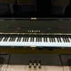 Yamaha U2F