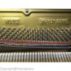 Yamaha U2F