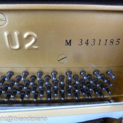 Yamaha U2M