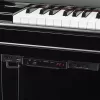 Piano Trans Acoustic