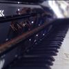 Kawai BL31