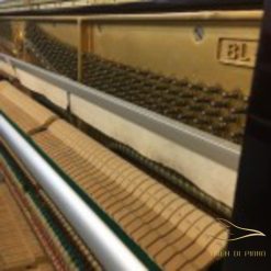 Kawai BL51