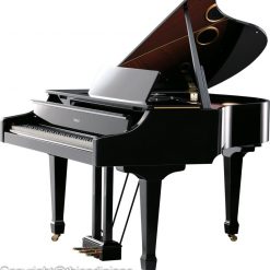 Piano Điện CASIO AP- 40