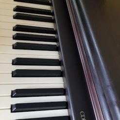 Piano Điện CASIO CDP-7000