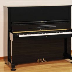 Piano S・MIKI