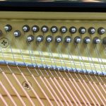 Yamaha YUS3SZ